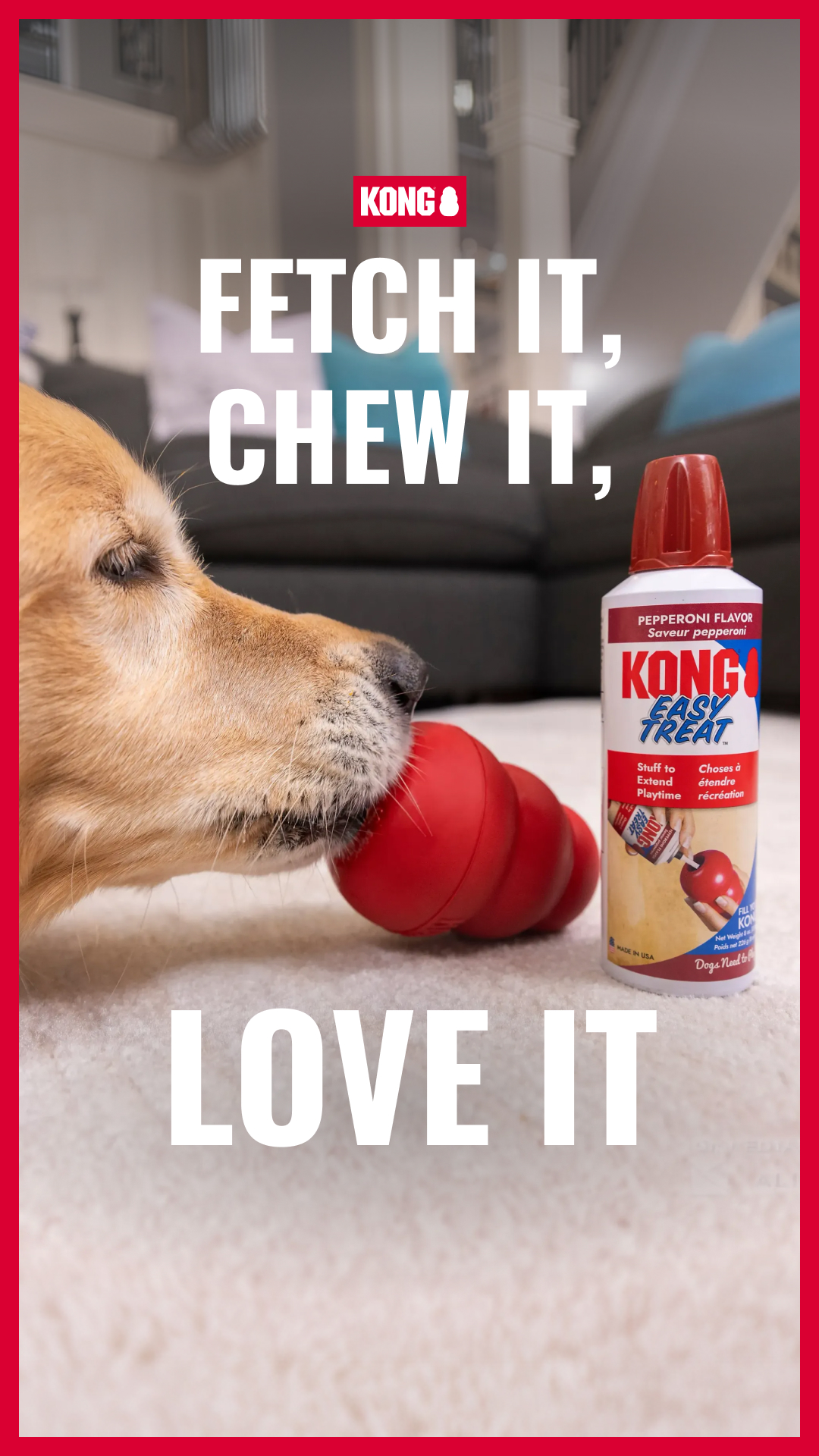 KONG Facebook ad