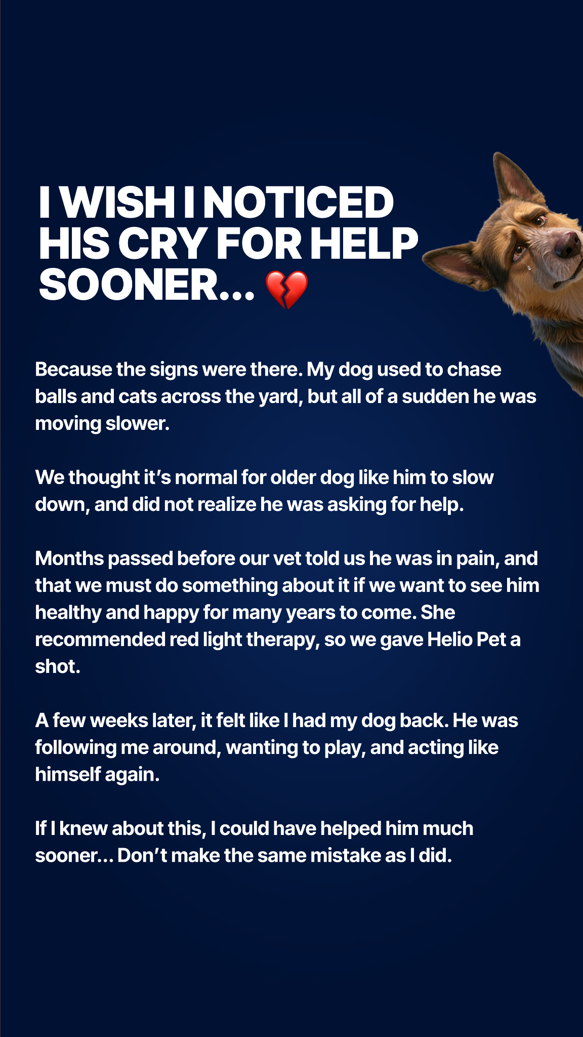 Helio Pet Facebook ad