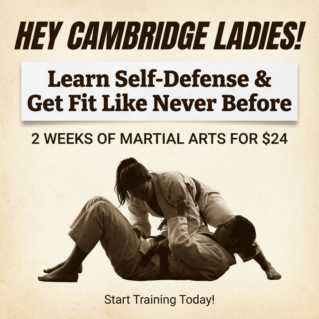 Boundless Martial Arts Facebook ad: 2 Weeks of Martial Arts Training - Just $24