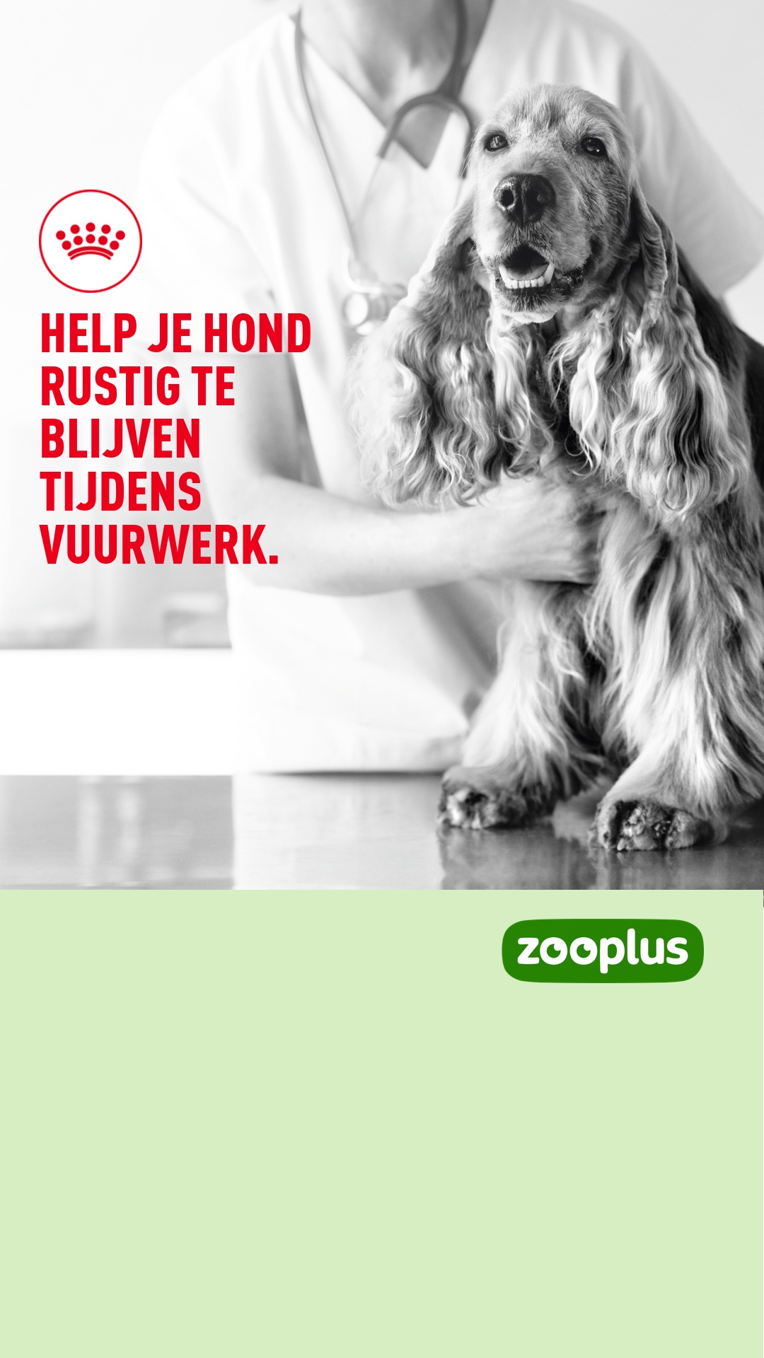 zooplus Facebook ad