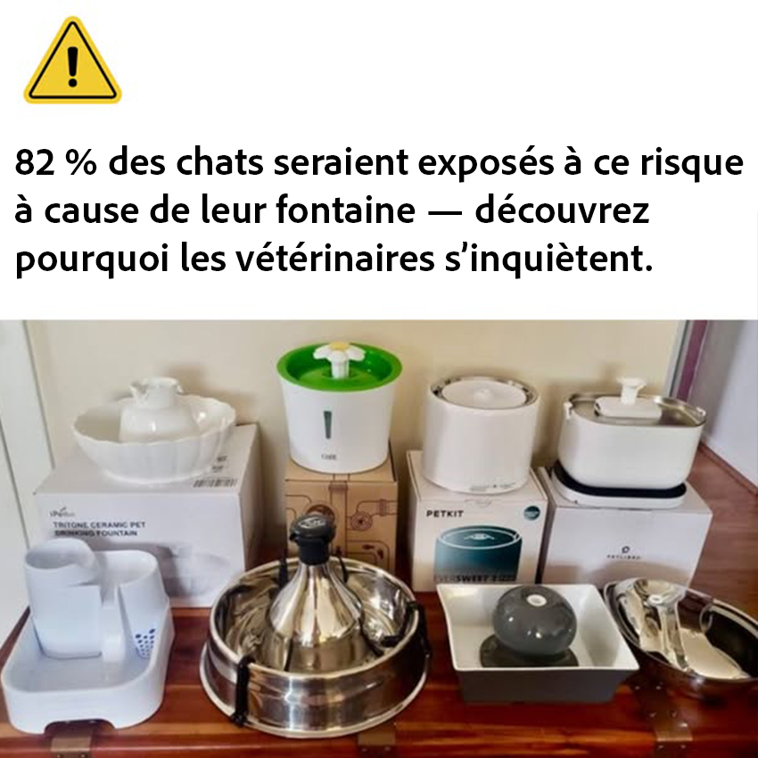 Hoomey Facebook ad: À Lire Si Vous Avez Une Fontaine à Eau Pour Chat