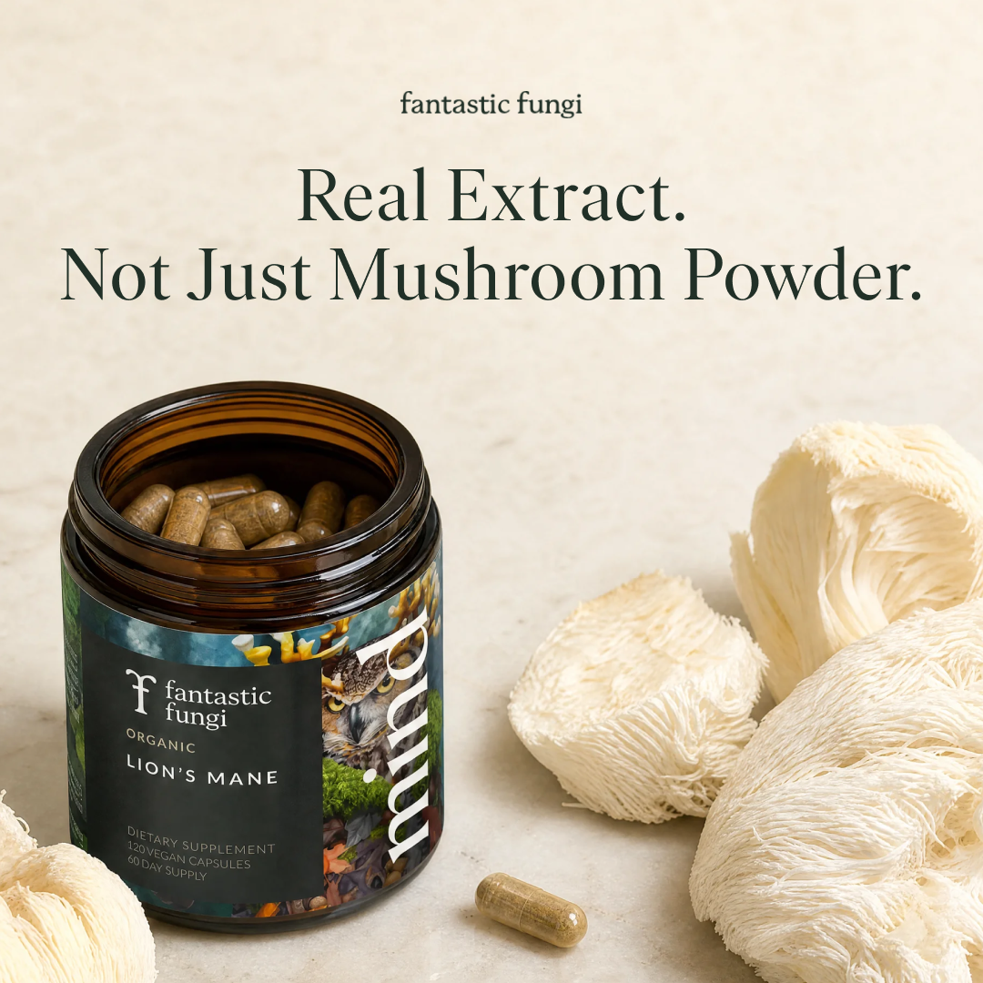 Fantastic Fungi Facebook ad