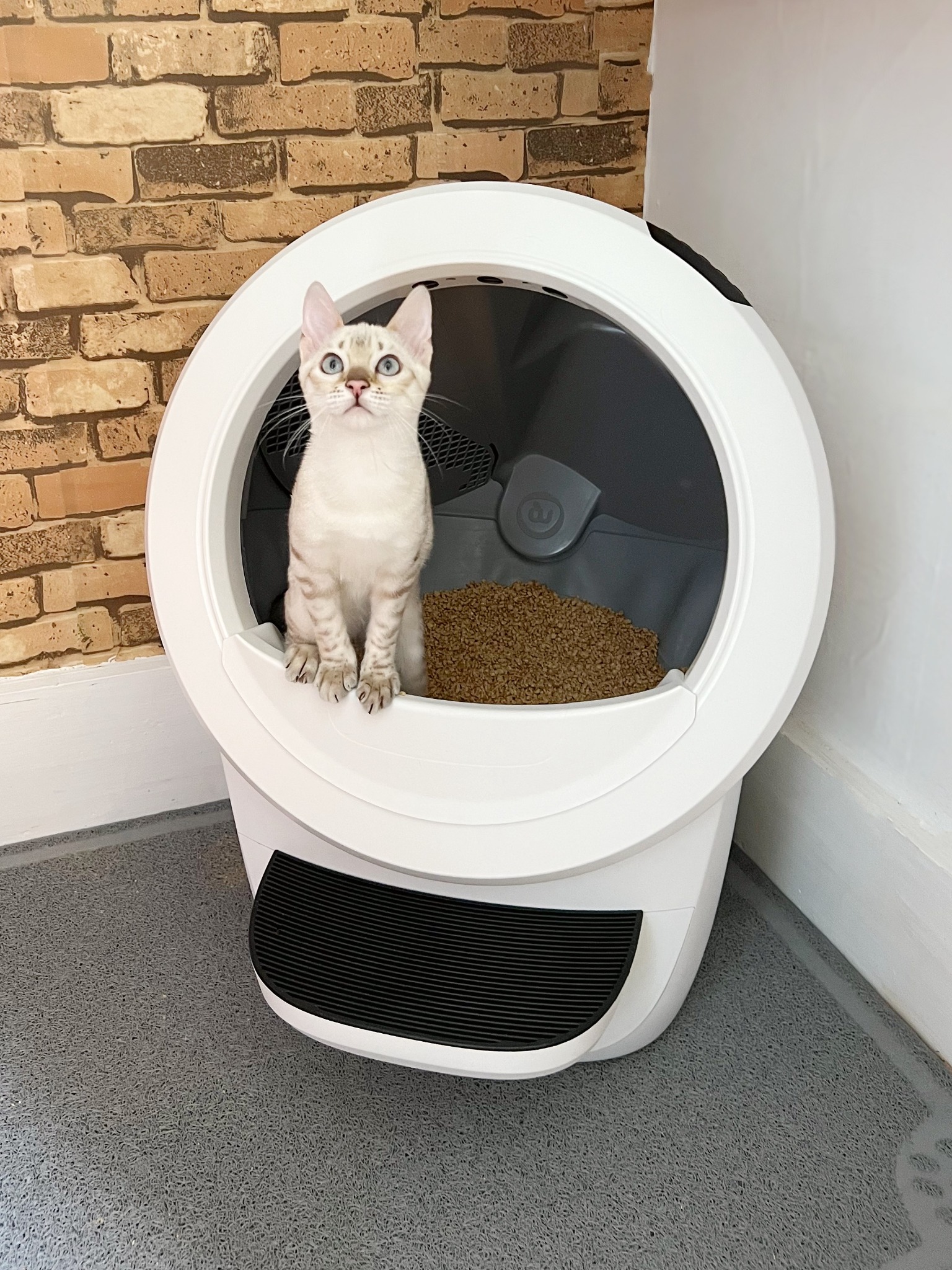Litter-Robot by Whisker Facebook ad