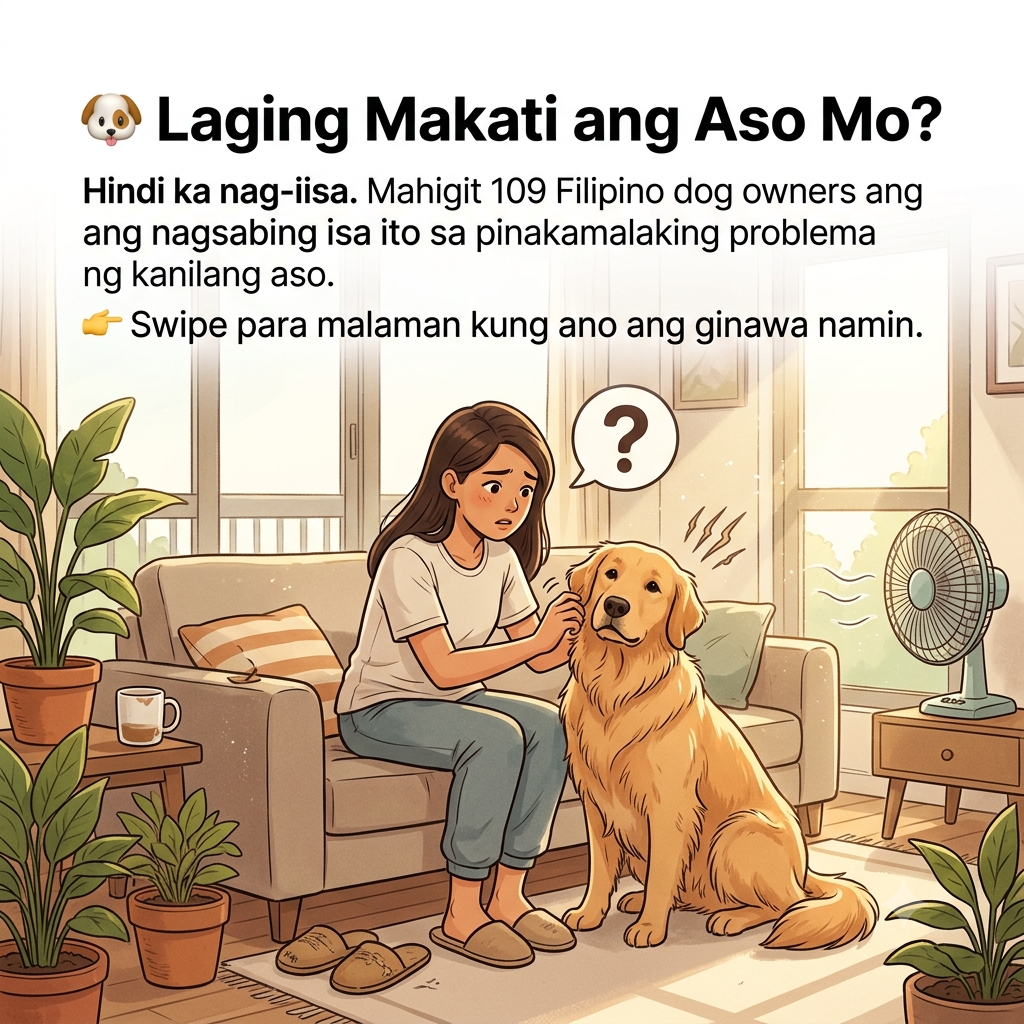PJ Hub Pet Supplies Facebook ad: Chat with us