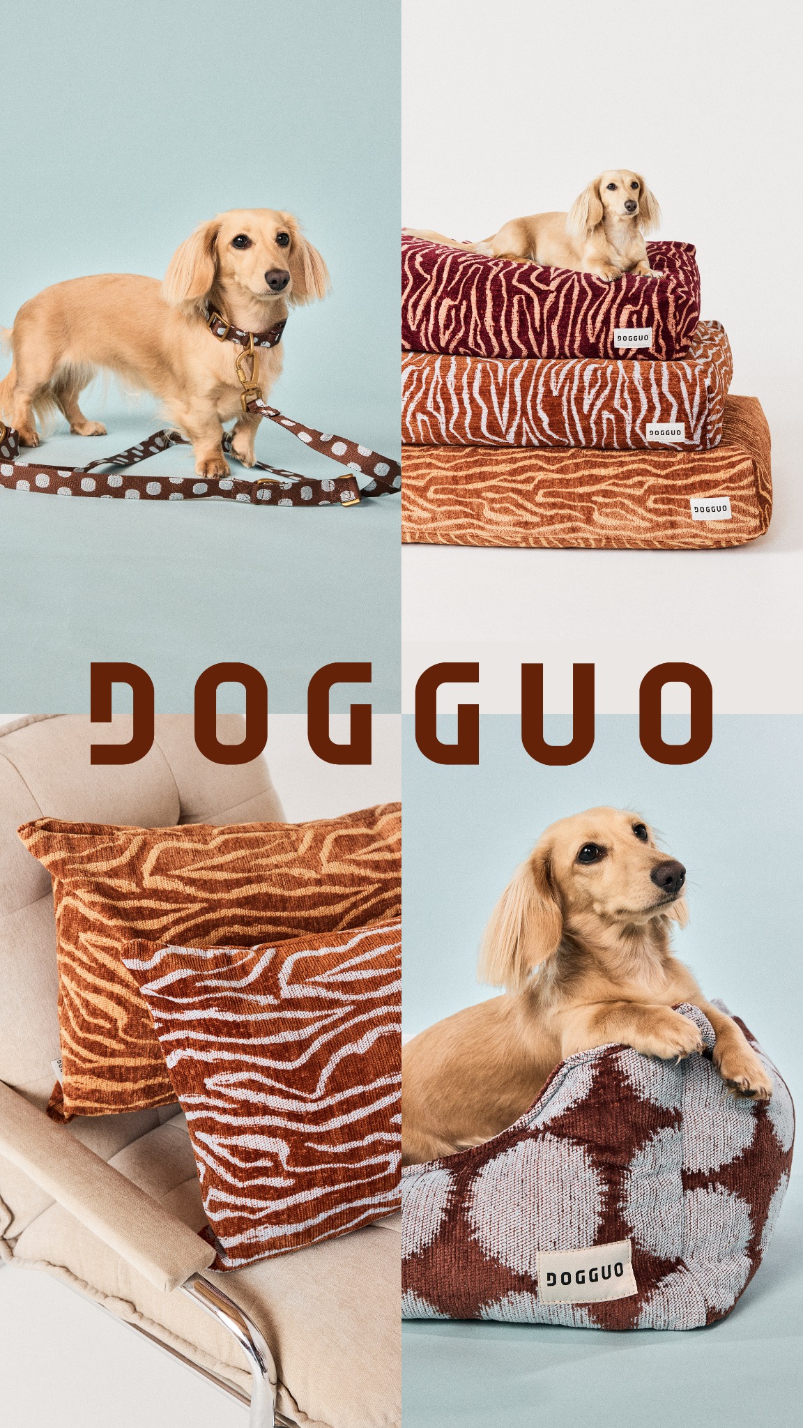 Dogguo Facebook ad: Premium Quality