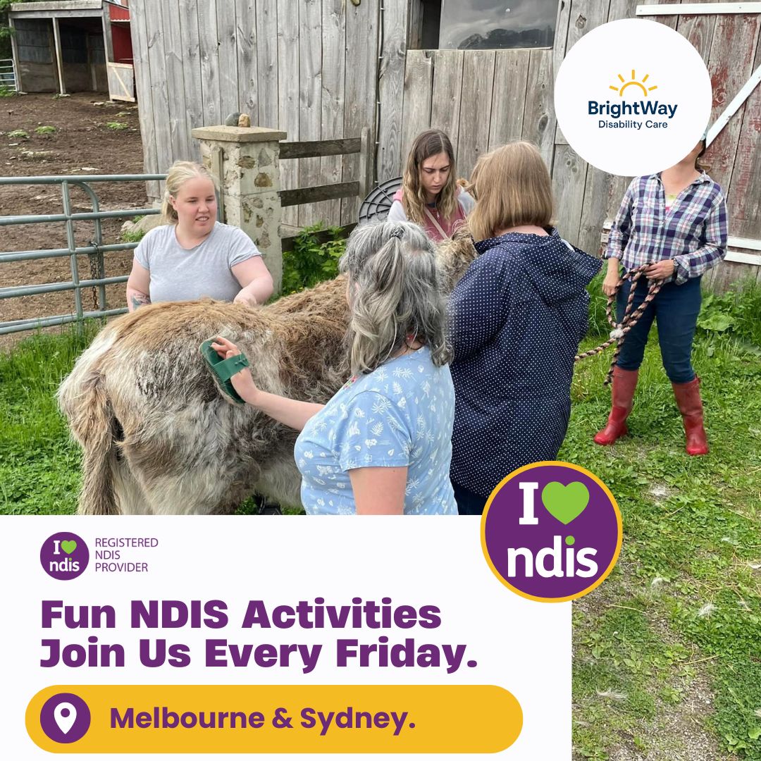 BrightWay Disability Care Facebook ad: Inclusive NDIS Activities Families Trust