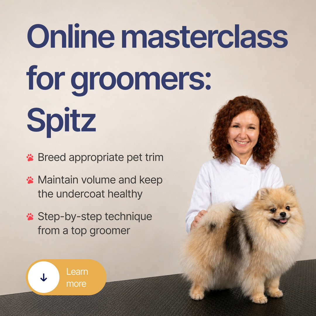 O2Pets Academy Facebook ad: Master the art of precision grooming