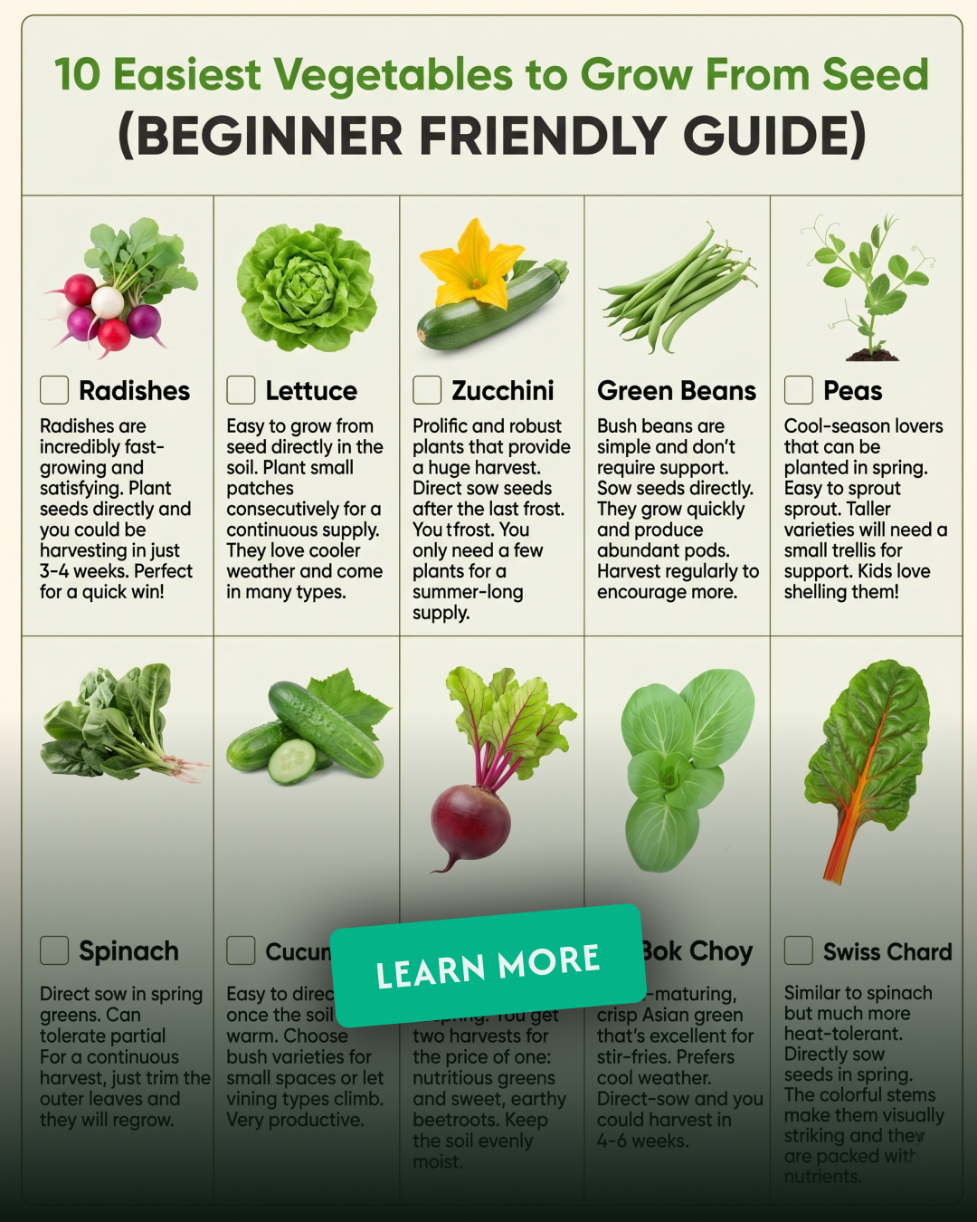 PlantIn AI: Never Kill Your Plants Facebook ad from Jun 4, 2026