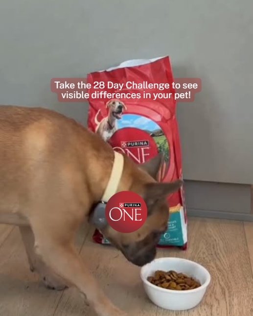 Purina ONE Facebook ad: See Visible Differences in Just 28 Days 