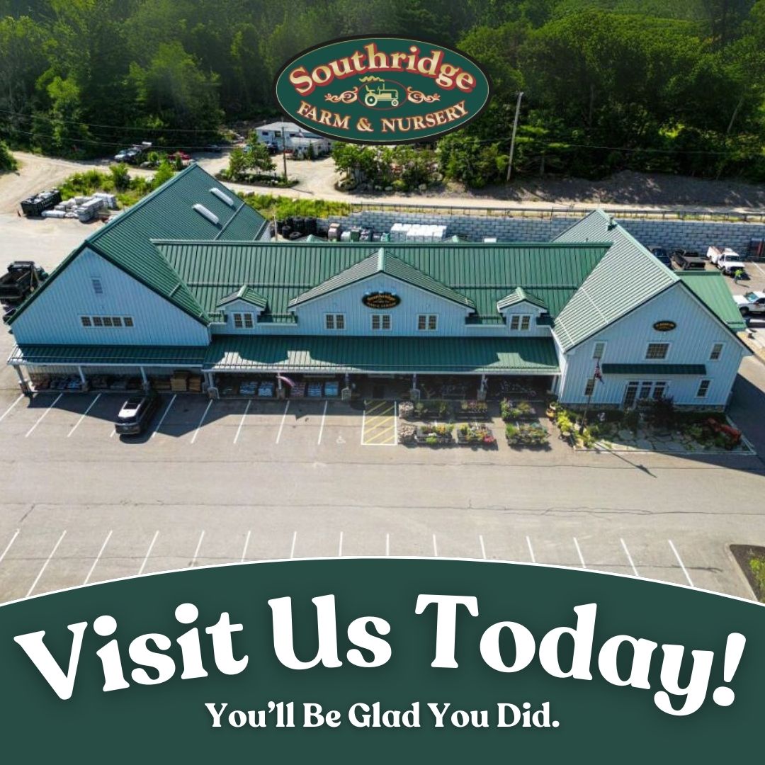 Southridge Farm & Nursery Facebook ad: Shop Online or In-Store - You'll Be Glad You Did!