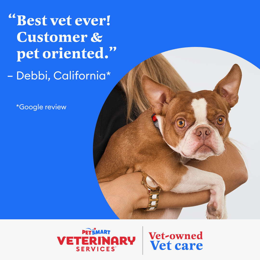 PetSmart Facebook ad