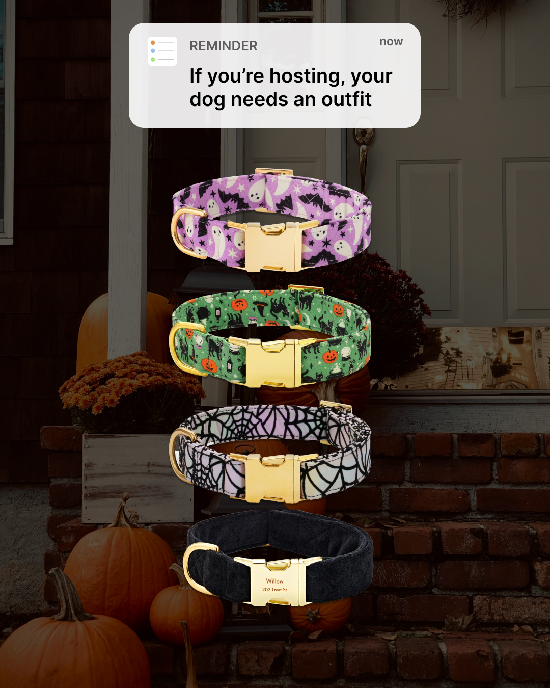 The Foggy Dog Facebook ad