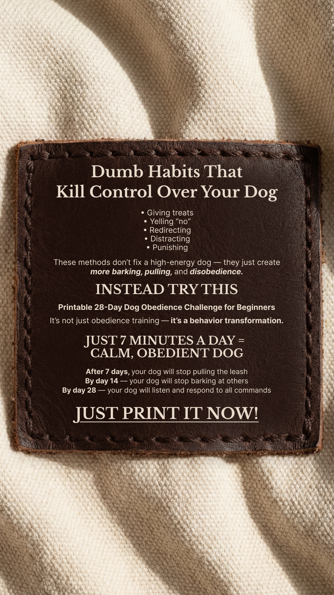28 Day Dog Obedience Challenge Facebook ad