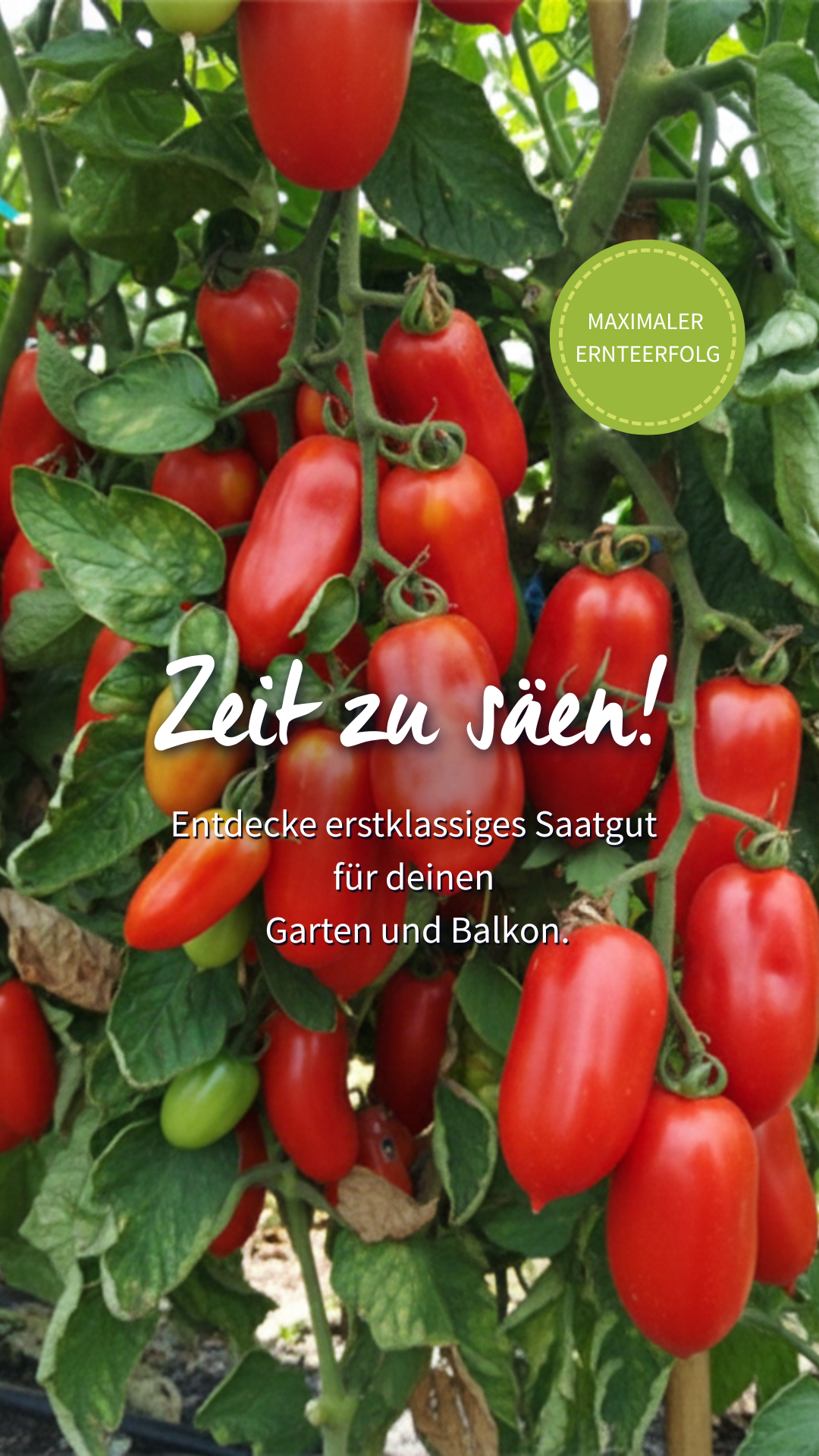 Samenfritze Facebook ad