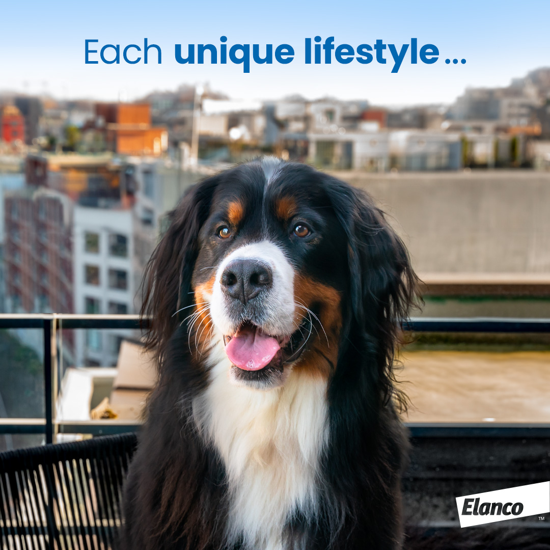 Elanco Facebook ad: Discover your dog's parasite risks with our risk…
