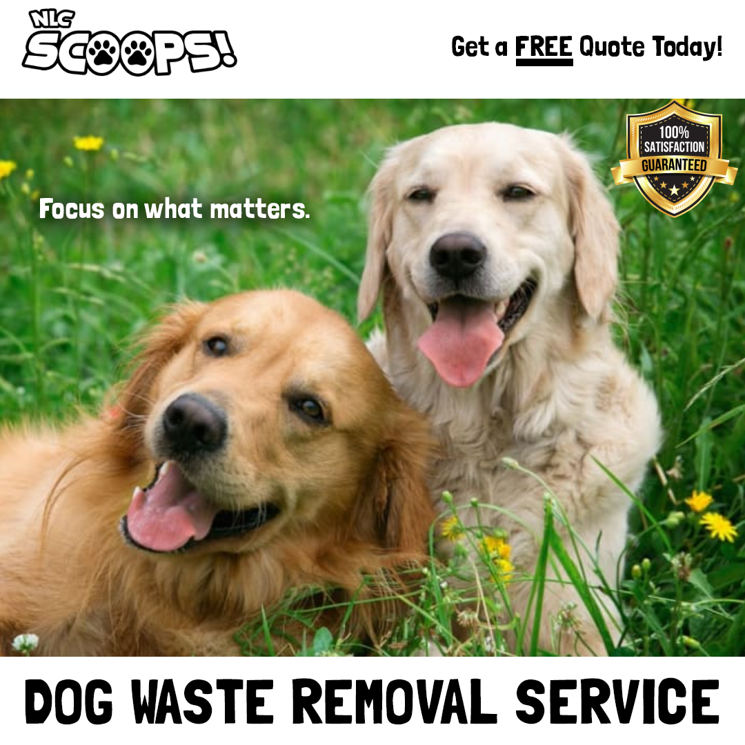 NLC Scoops - Pet Waste Removal Service Facebook ad