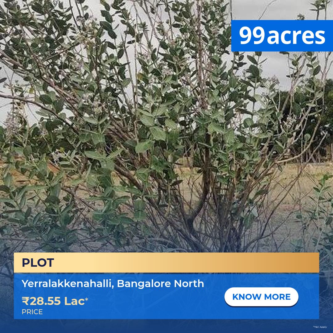 99acres Facebook ad