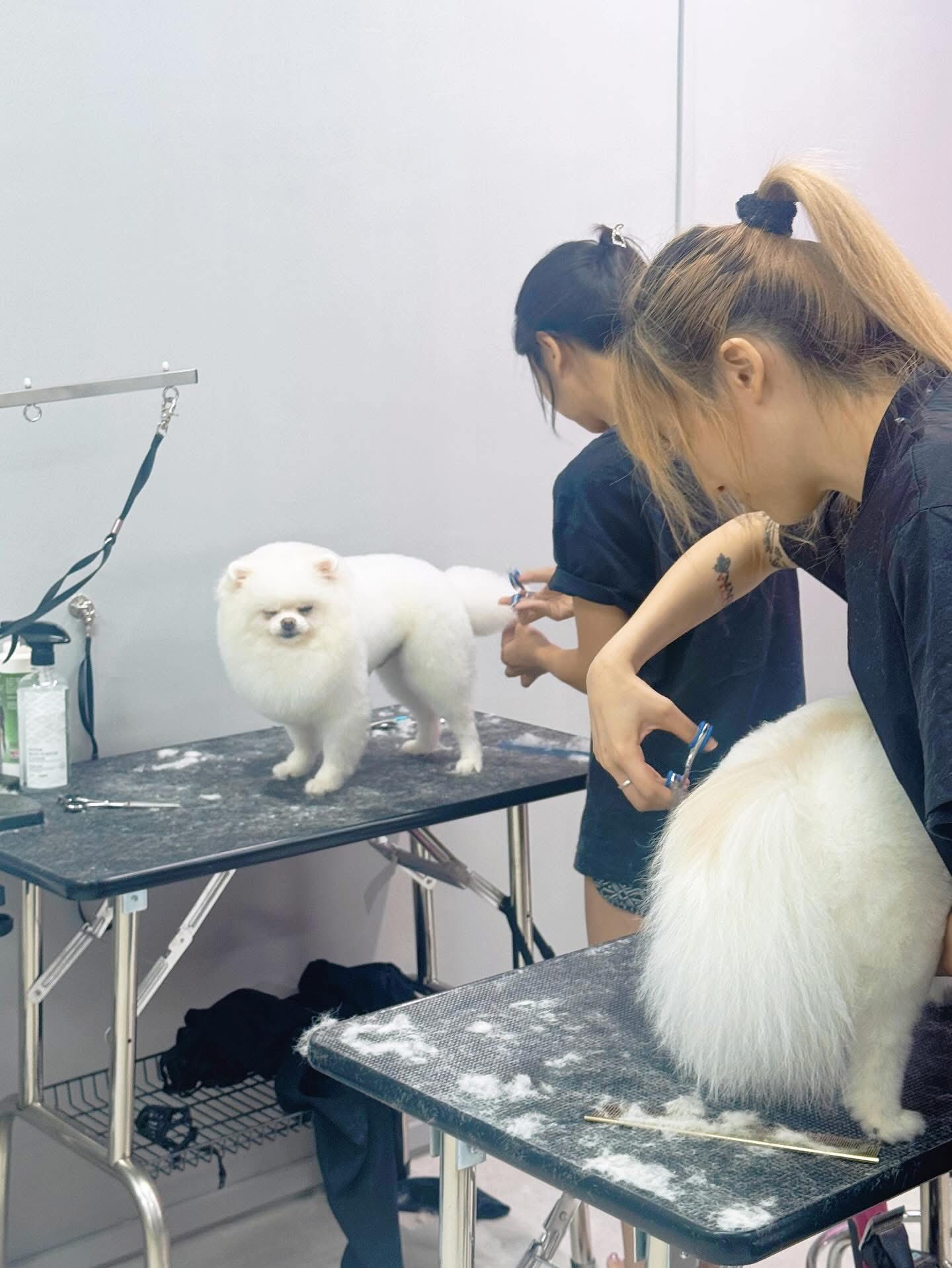 Inuyama Pet Grooming Facebook ad