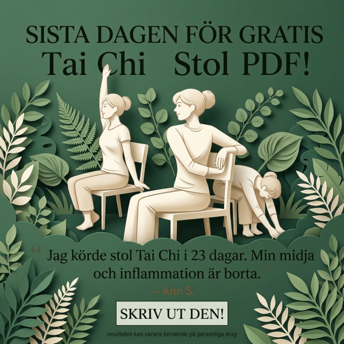 Digesti Fit Facebook ad