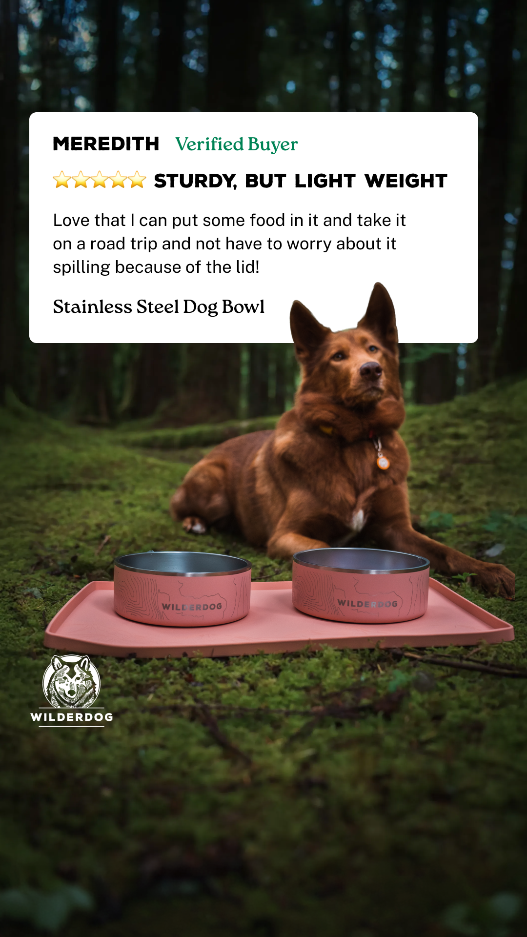 Wilderdog Facebook ad