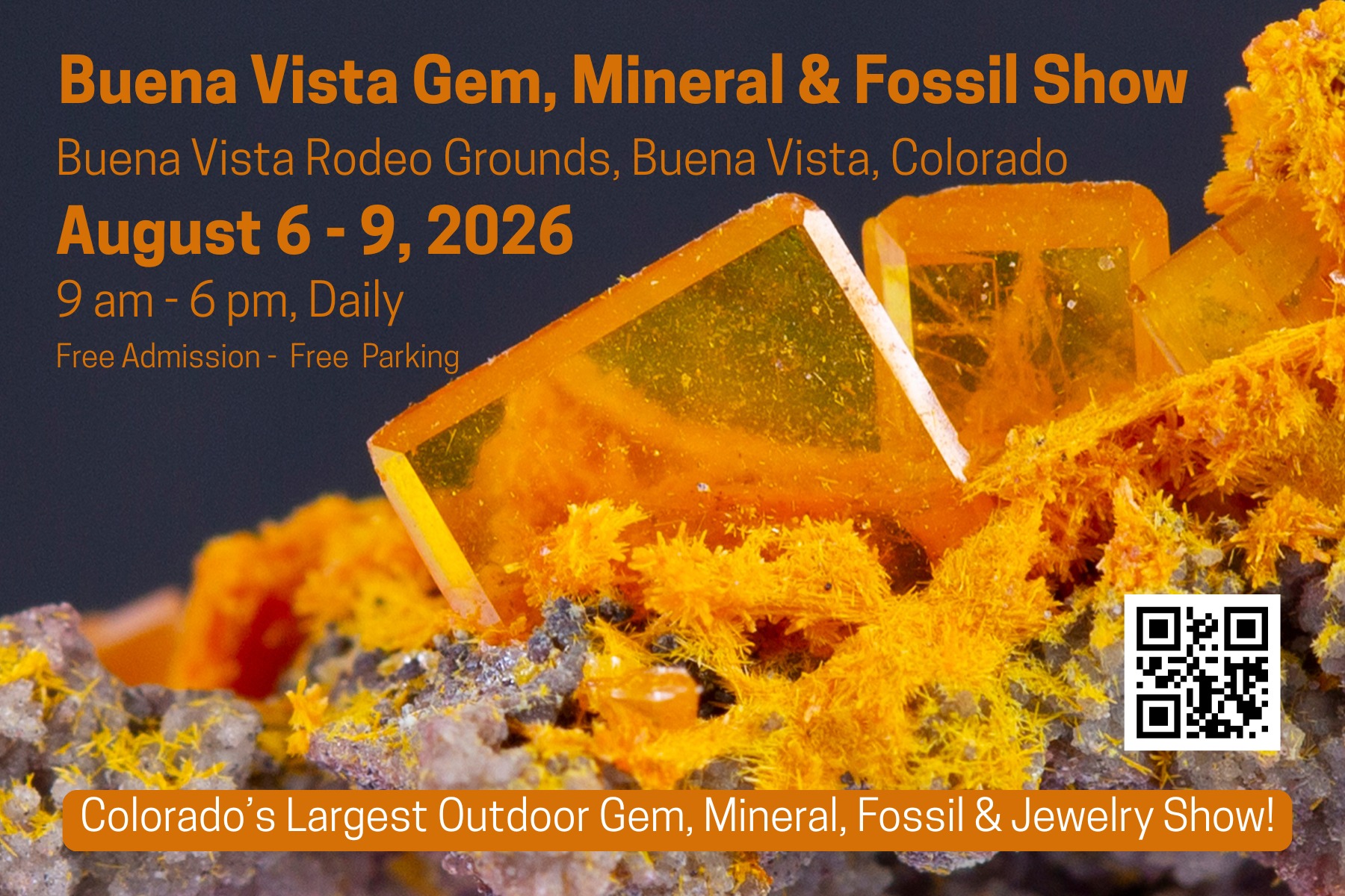 Buena Vista Contin-Tail Mineral Show Facebook ad: Buena Vista Contin-Tail Gem, Mineral & Fossil Show