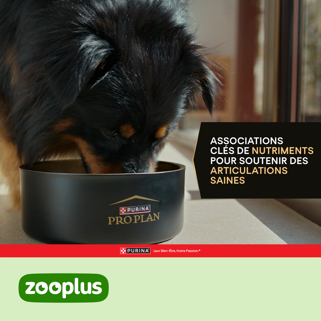 zooplus Facebook ad