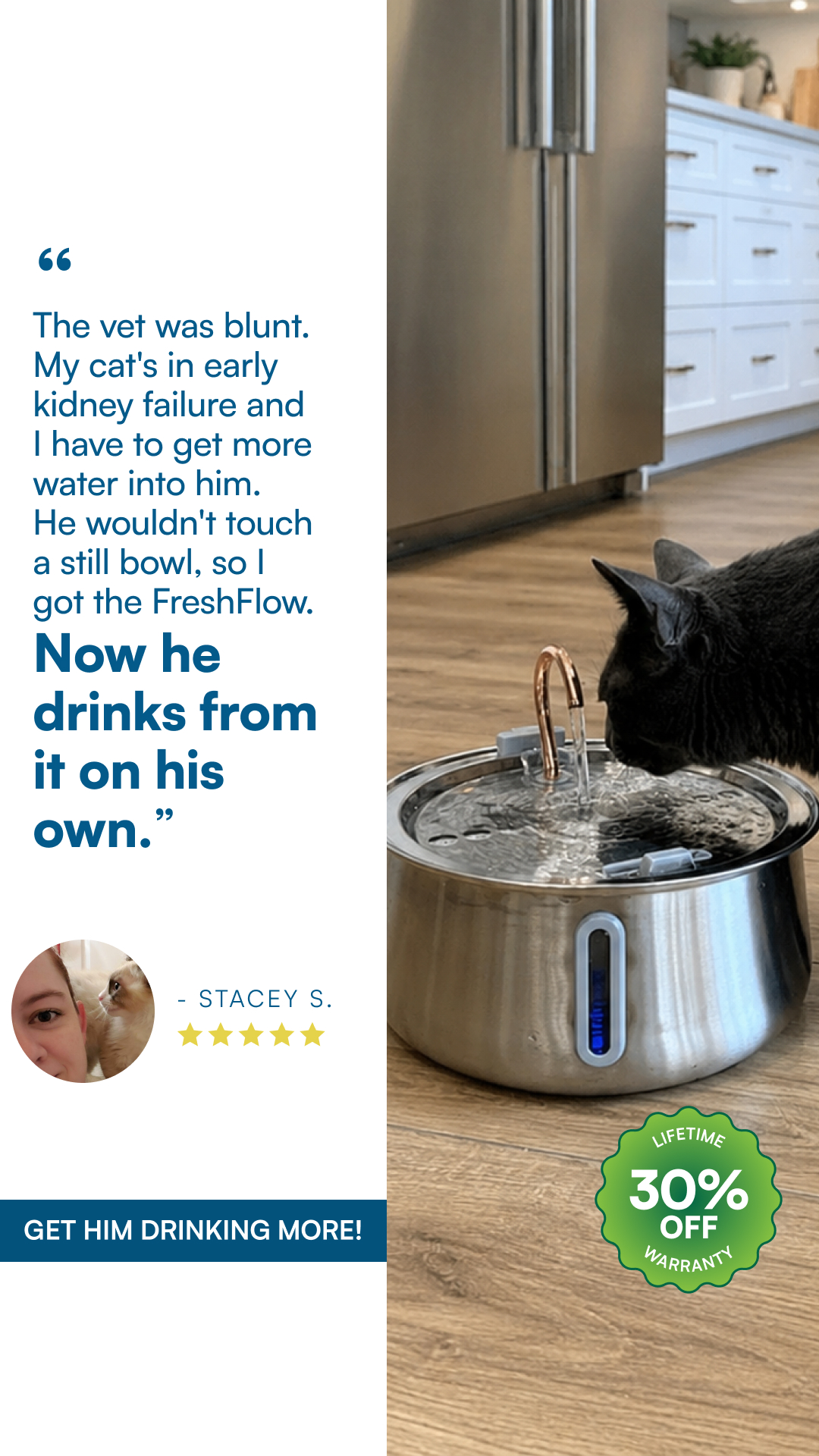 Rhykin Pet Co Facebook ad
