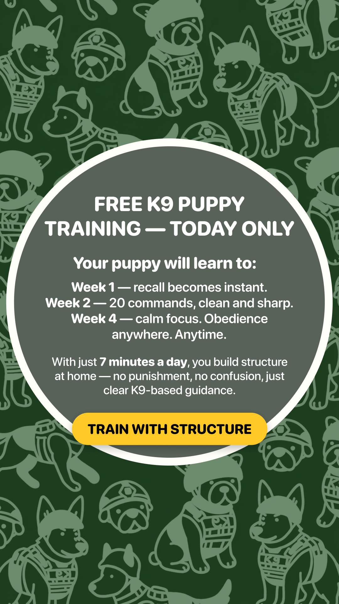 Better Dog Facebook ad: Start training your pup