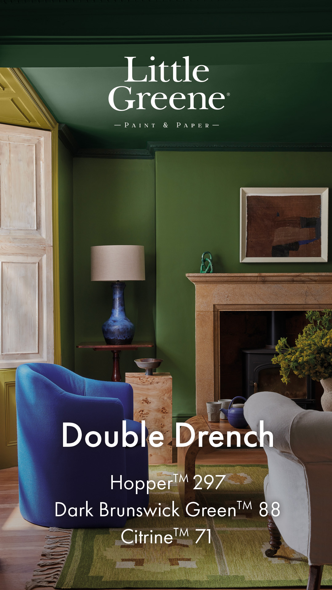 littlegreene.nl Facebook ad from Jan 8, 2025