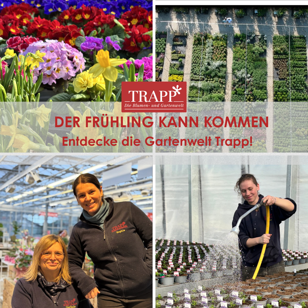 Blumen- und Gartenwelt TRAPP Facebook ad: Echte Gärtnerqualität.