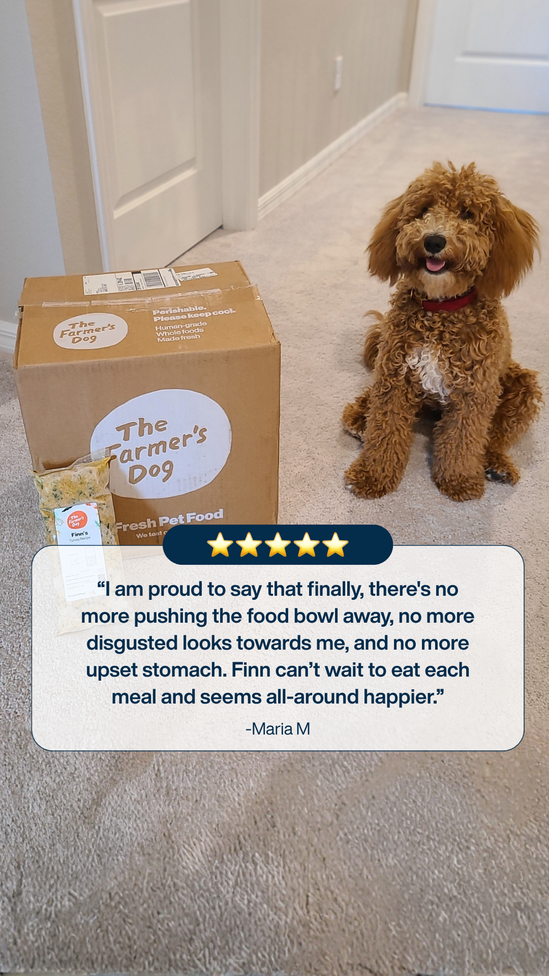 My Subscription Addiction Pets Facebook ad