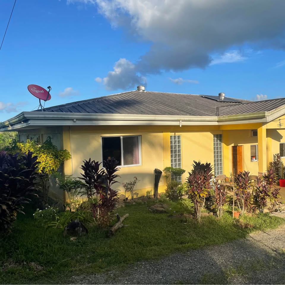 Michael Gross Facebook ad: For Sale: 1.55-Hectare Property with Modern Bungalow…