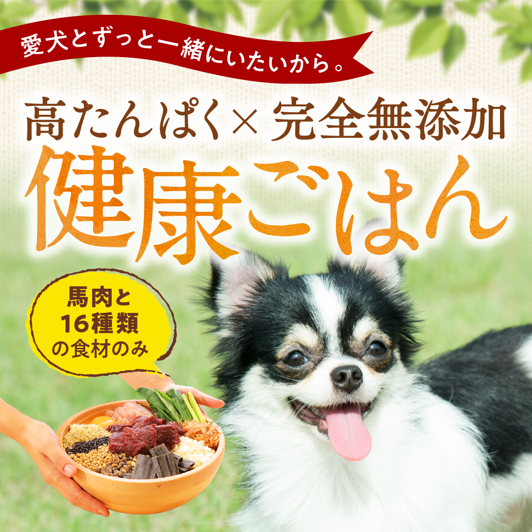 健康いぬ生活 Facebook ad