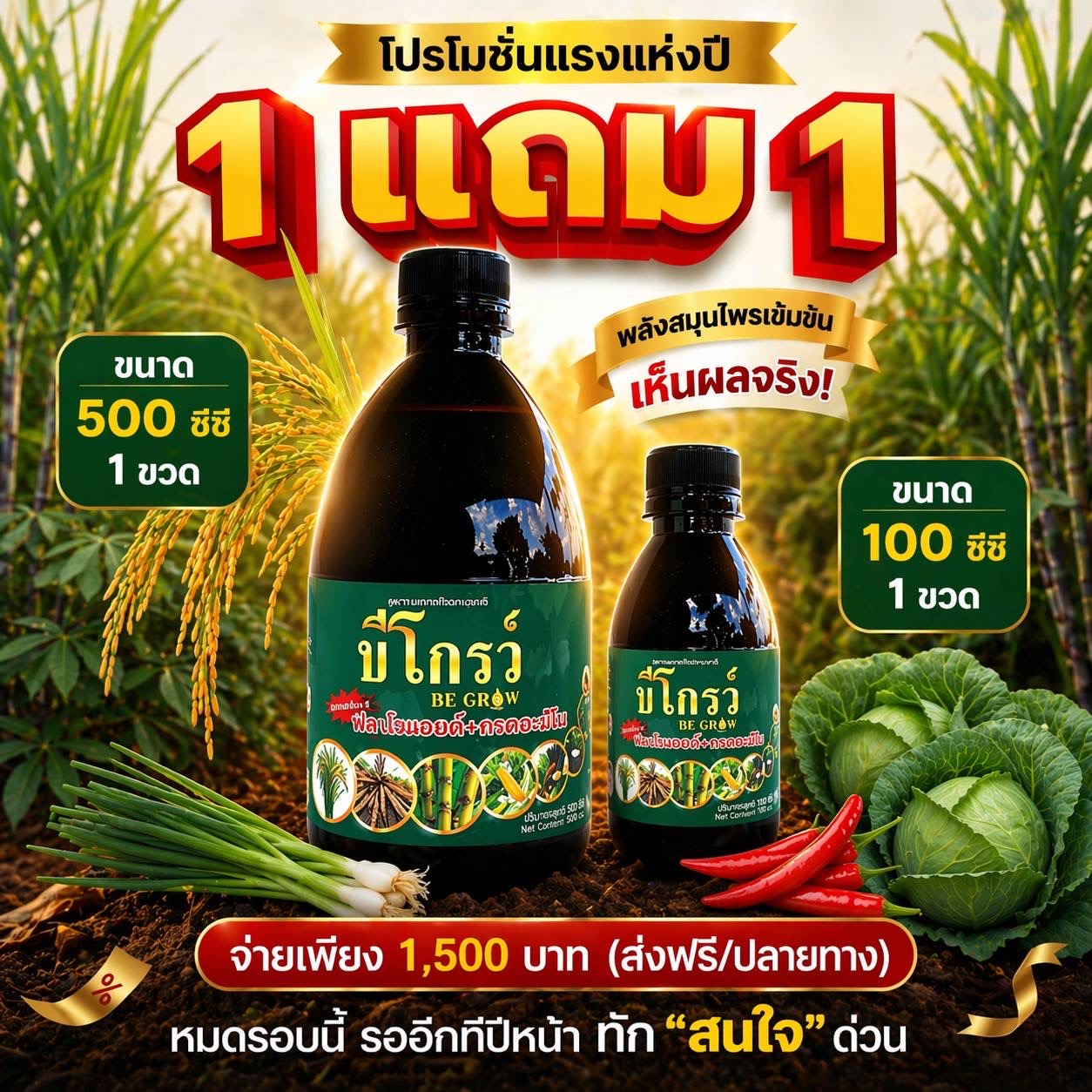 บีออร์แกนิคพลัส เพจหลัก ของแท้จากบริษัท โทร.082-2606988/093-4524709 Facebook ad from May 11, 2026