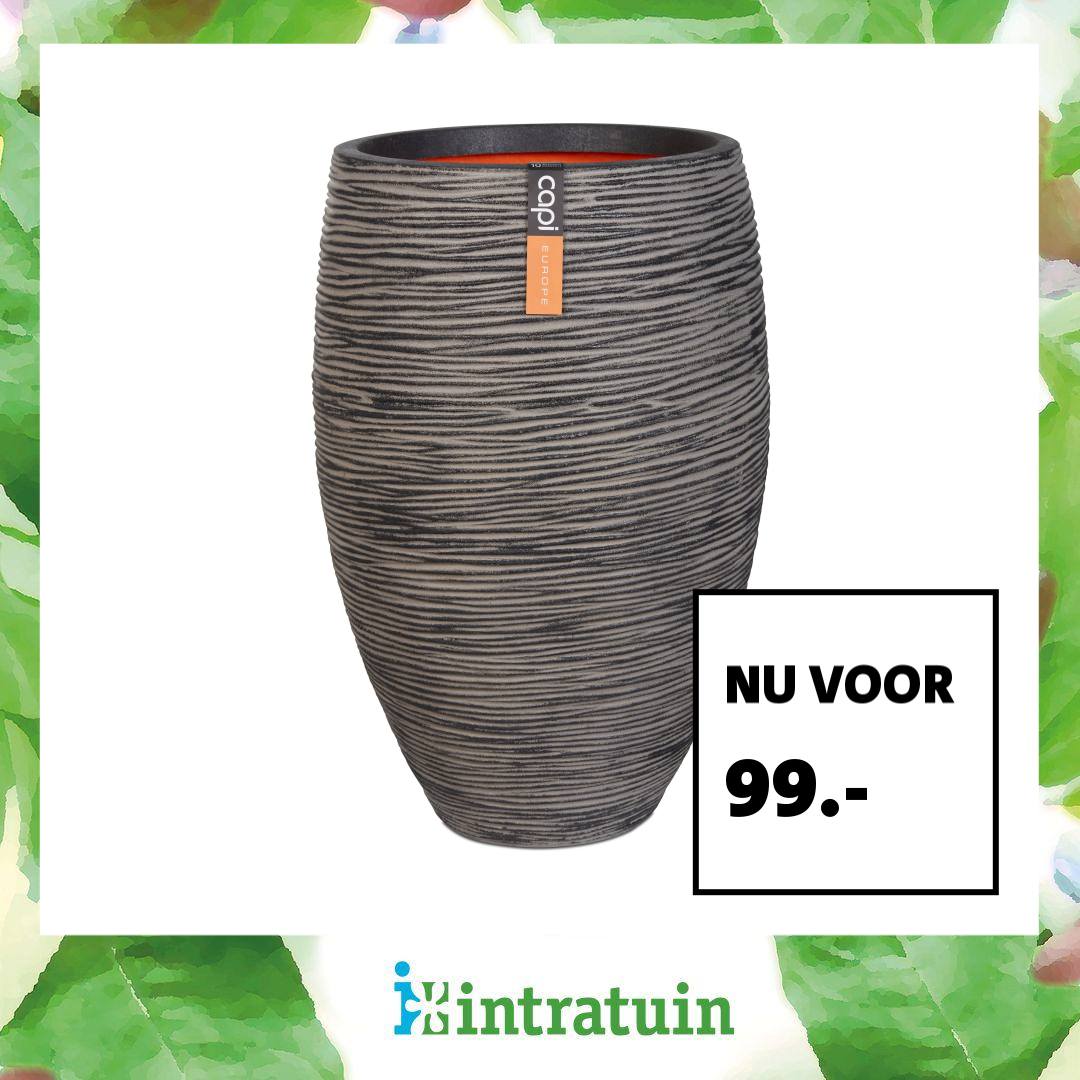 Intratuin Facebook ad