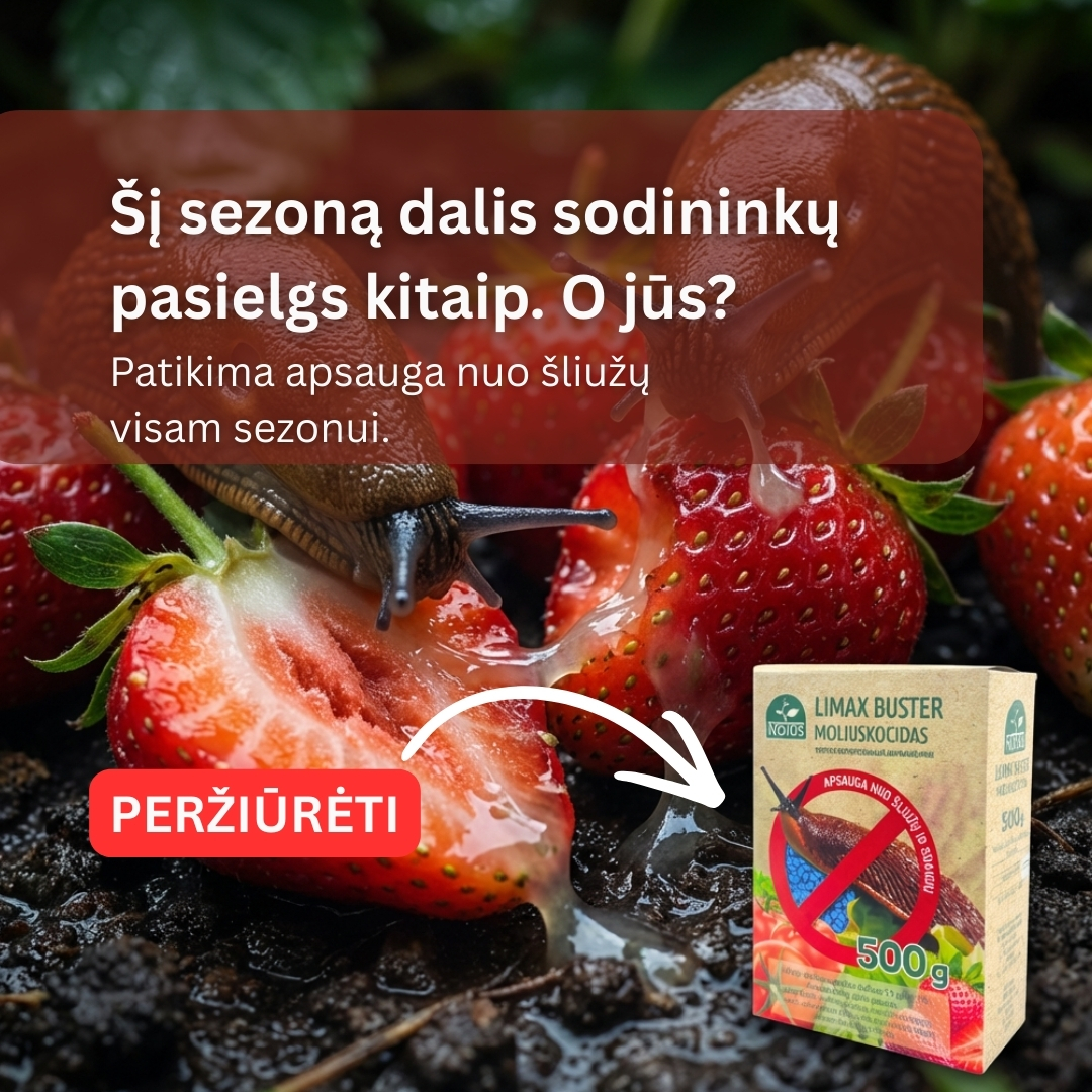 Nojaus sėklos Facebook ad: Neleisk šliužams sugadinti tavo derliaus!