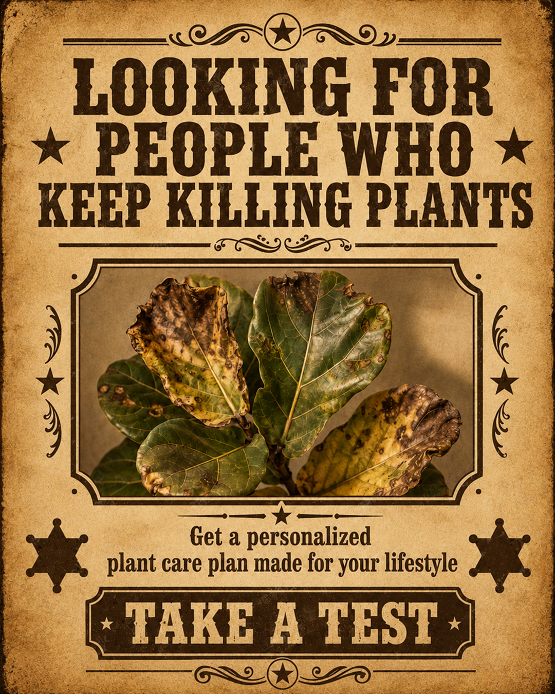 PlantIn AI: Never Kill Your Plants Facebook ad from May 25, 2026