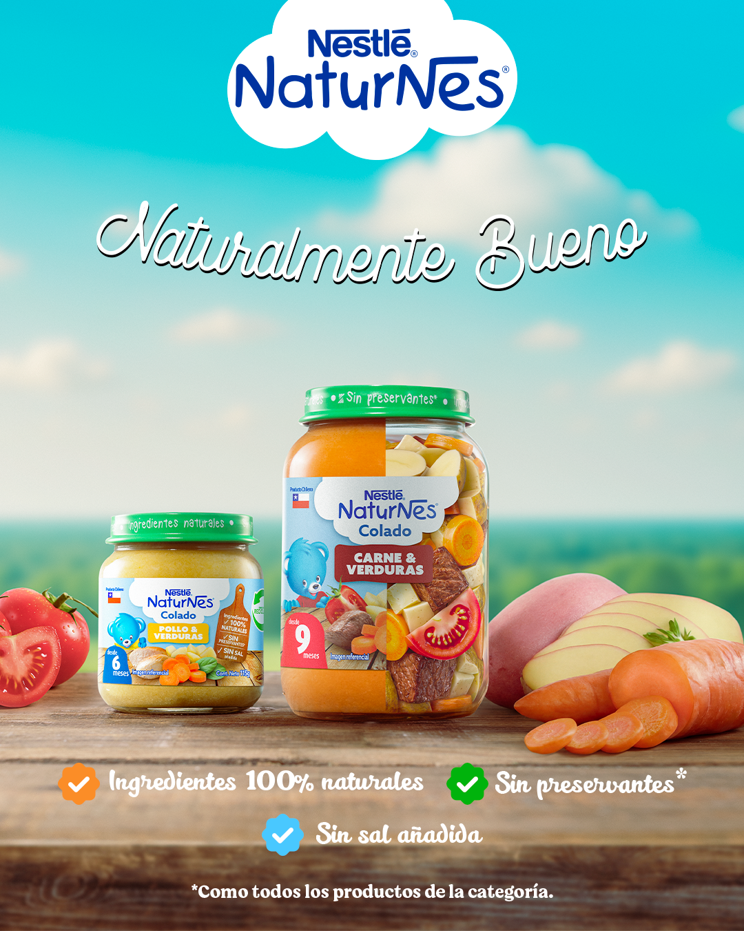 Nestlé FamilyNes Chile Facebook ad