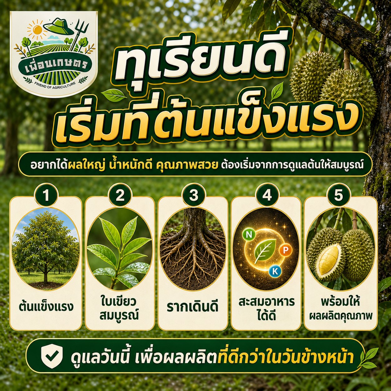 เพื่อนเกษตร Facebook ad: ทุเรียนดี เริ่มที่ต้นแข็งแรง