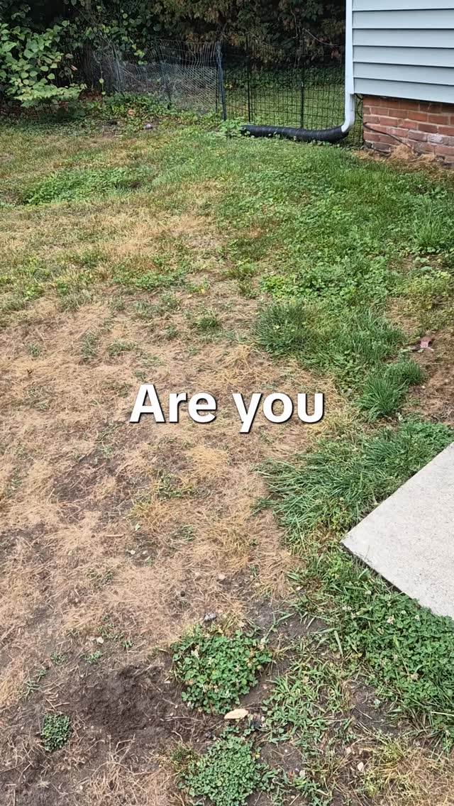 Stepping Stone Landscaping Facebook ad: Get Your Lawn Looking Its Best