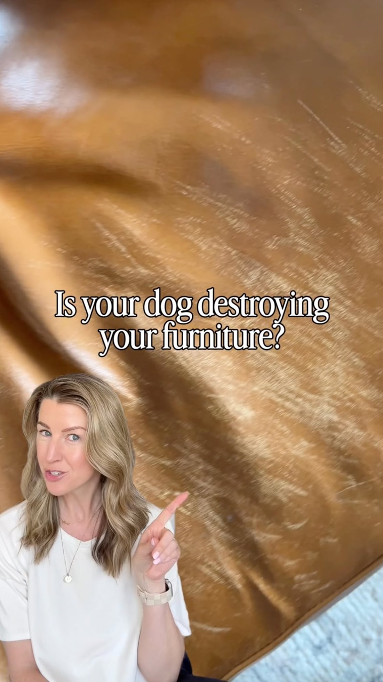 Wilderdog Facebook ad: Wilderdog Waterproof Dog Blanket