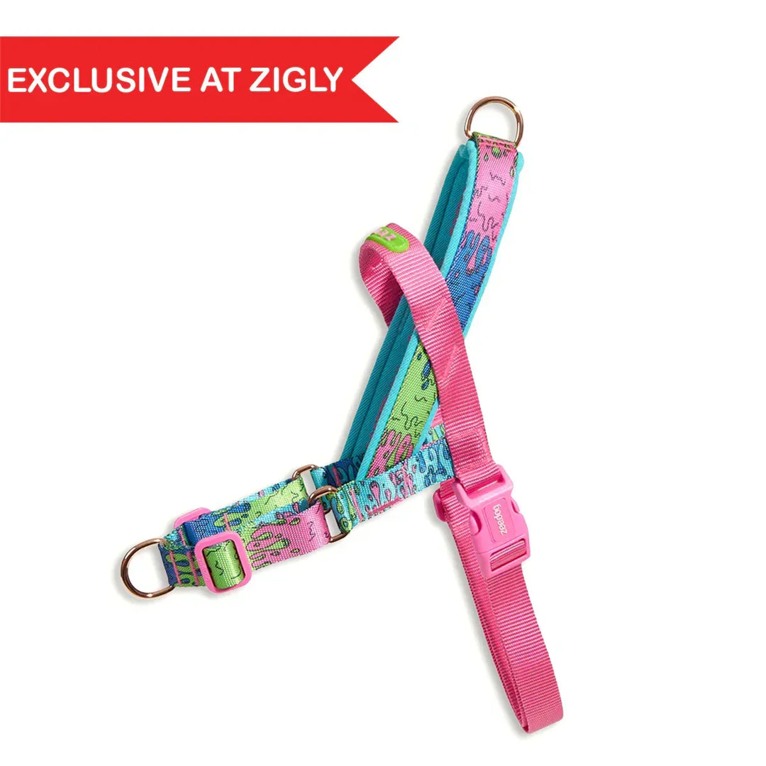 Zigly Facebook ad