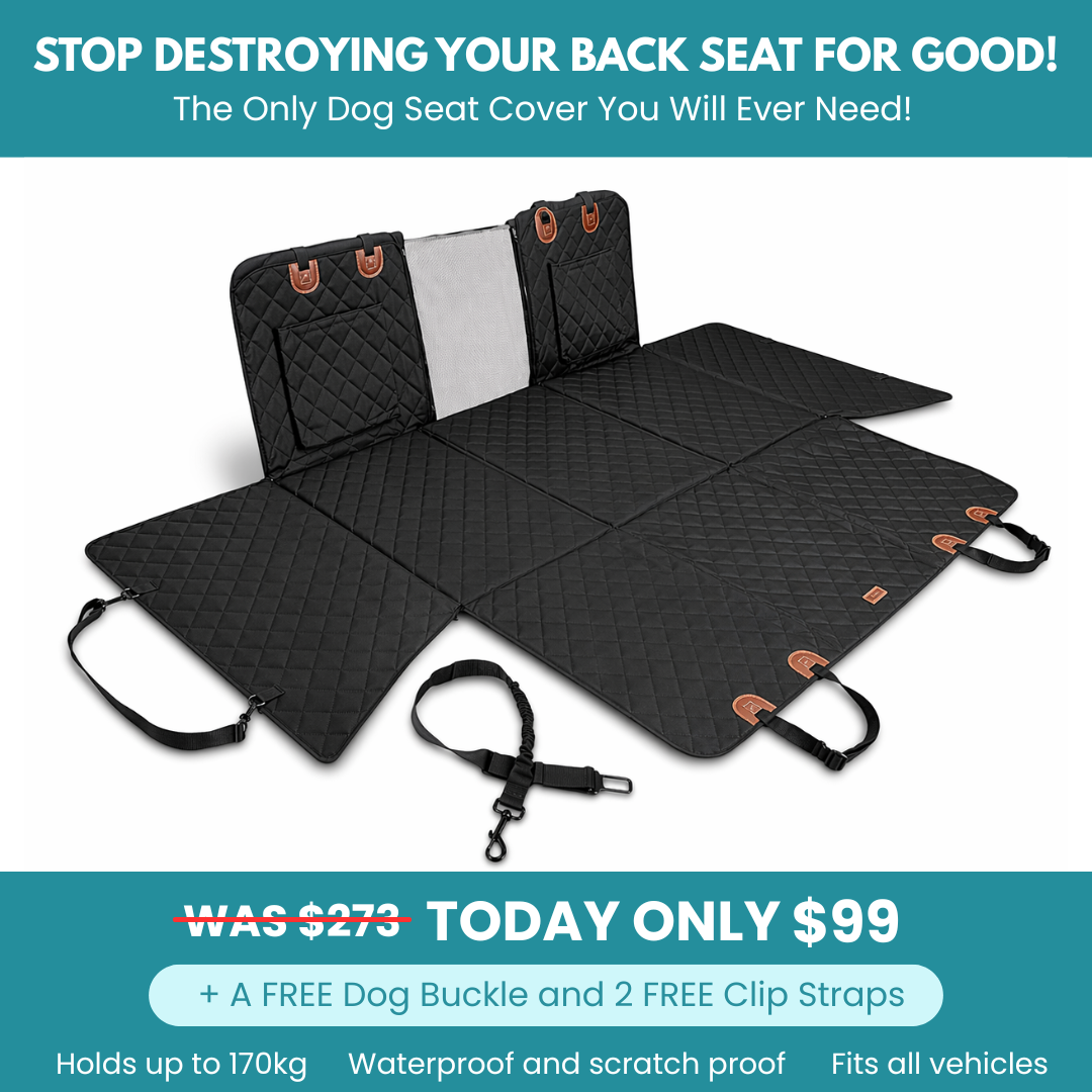 MrBarks.Shop Facebook ad