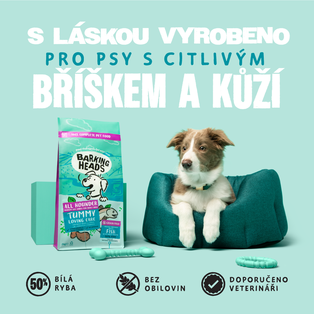 Barking a Meowing Heads CZ Facebook ad