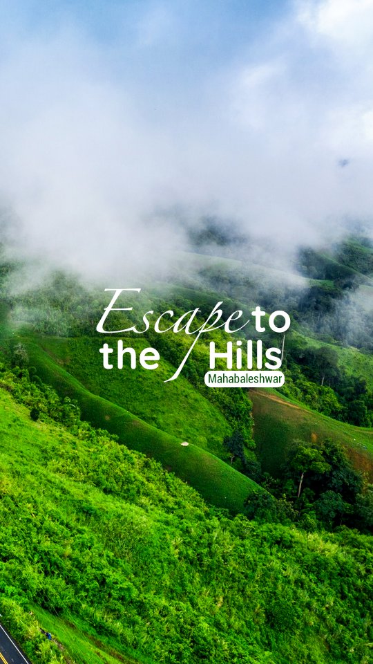 HiveStays Facebook ad: Escape the ordinary, live the luxury.
