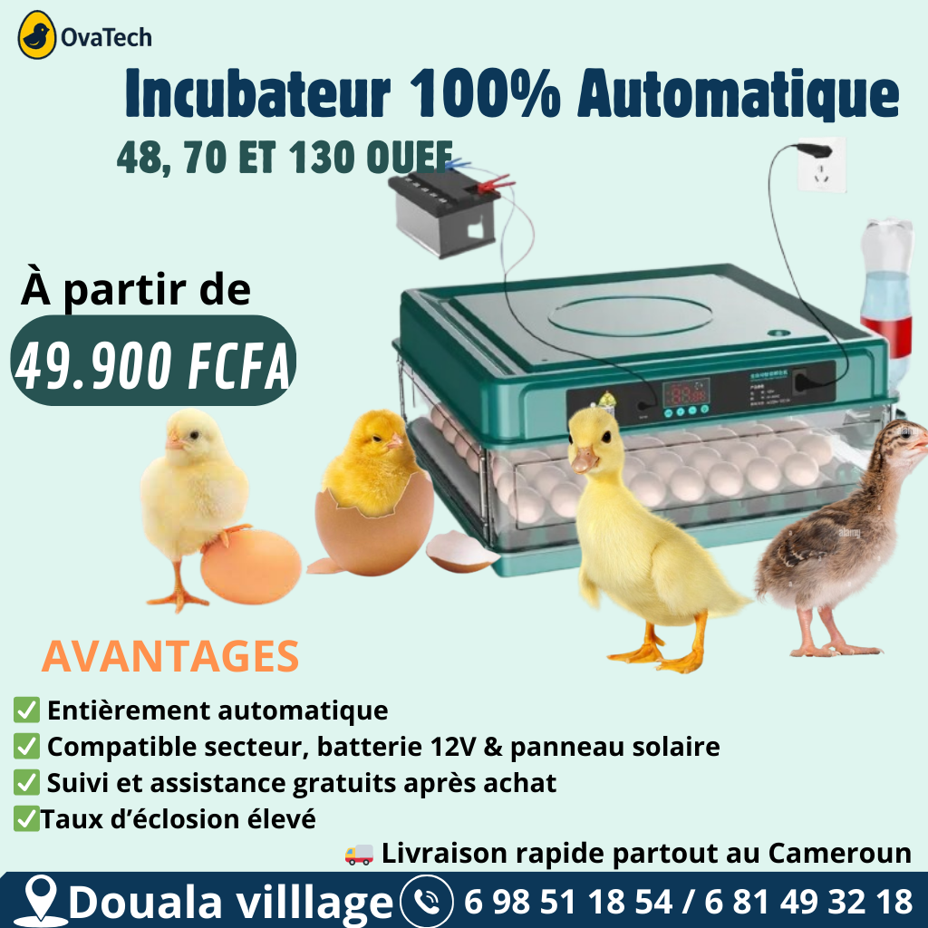 Ovatech Facebook ad