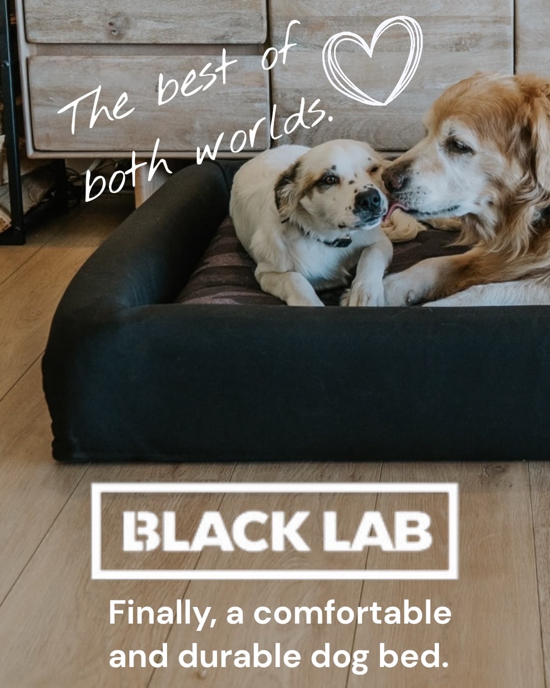 Black Lab Brands Facebook ad