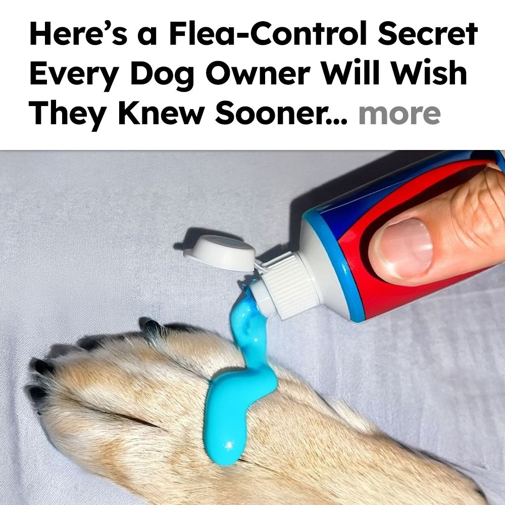 Flea Secrets Facebook ad