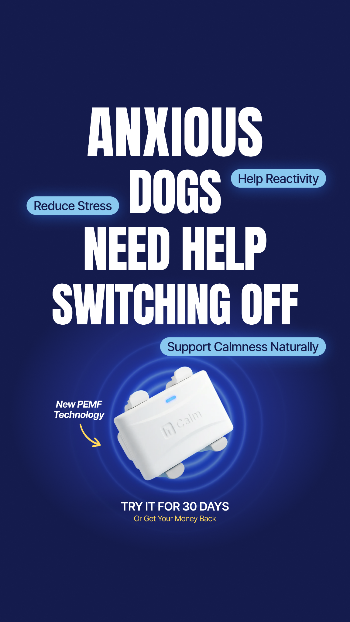 Helio Pet Facebook ad