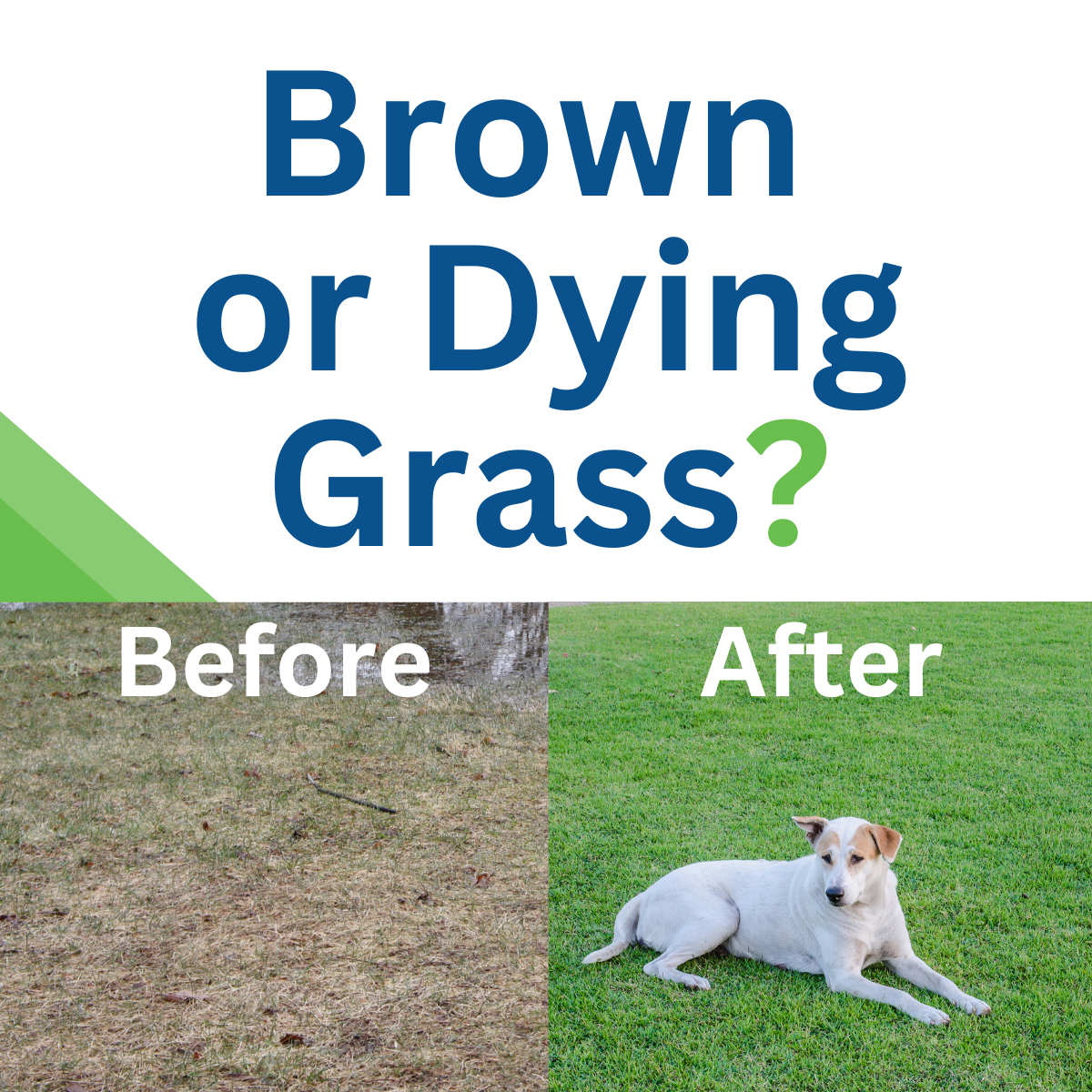 Superior Spray Pest Control and Termite Service Facebook ad: Your Pest Control and Yard Pros!